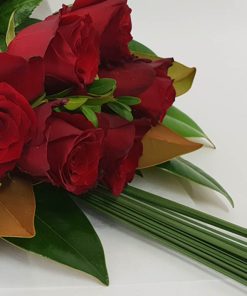 Love Story Valentines Day Roses