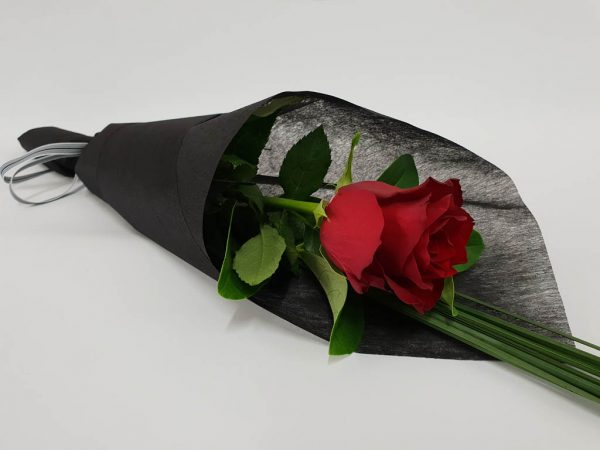 Solitaire Valentines Day Rose