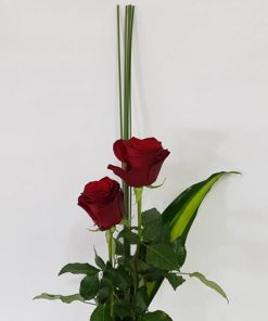 Sweet Love Valentines Day Roses