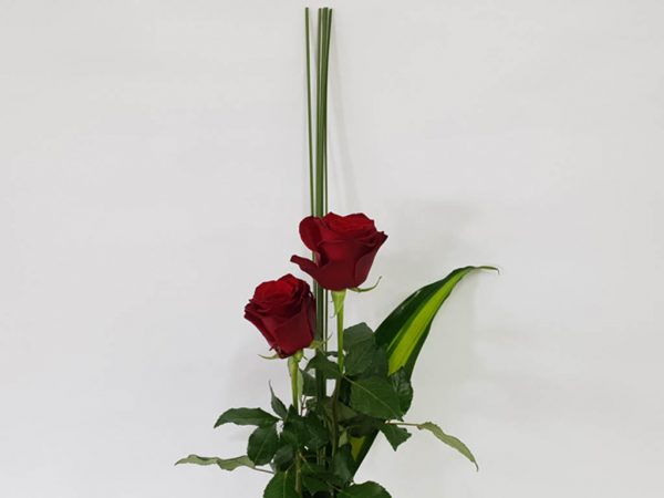 Sweet Love Valentines Day Roses