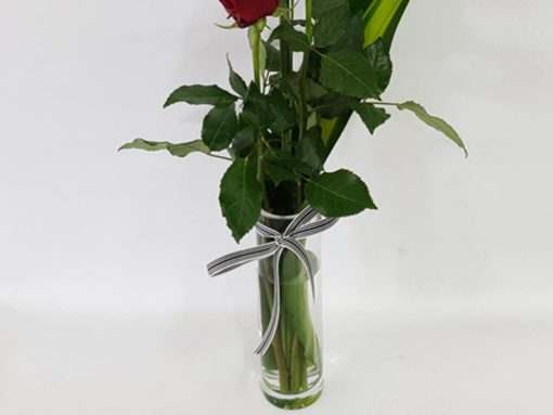 Sweet Love Valentines Day Roses