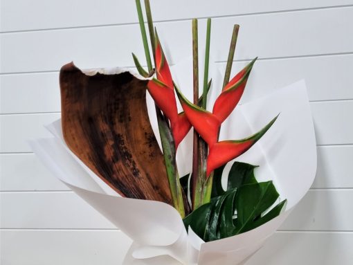 Heliconia and Husks - Image 3